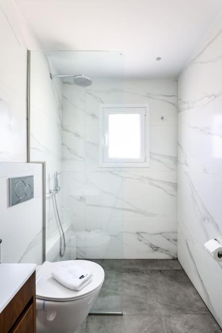 Blue Delta Apartment Palaio Faliro 雅典 外观 照片
